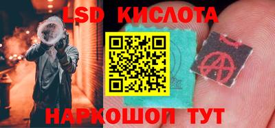 стаф Славгород