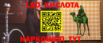 стаф Славгород