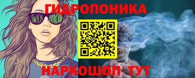 МДПВ Боровичи
