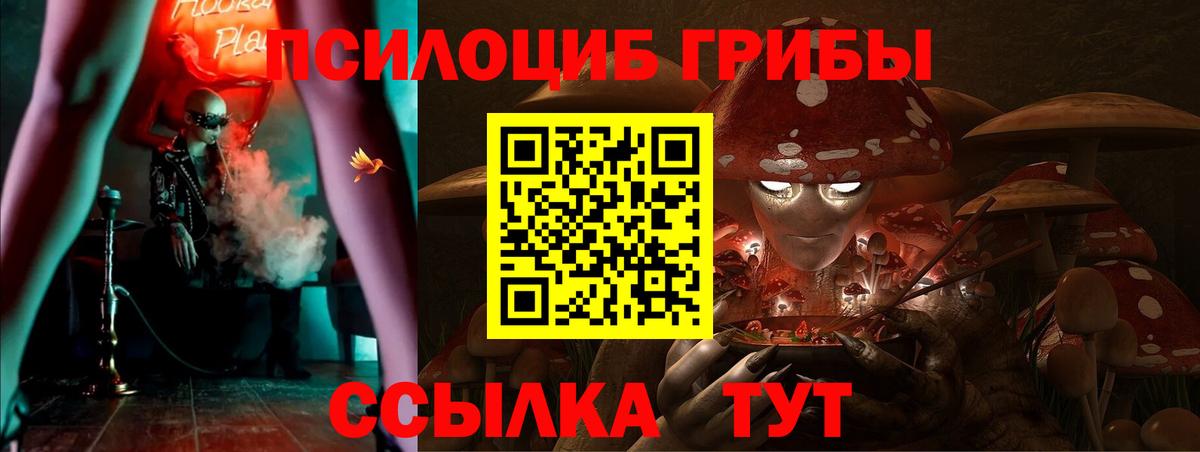 Галлюциногенные грибы прущие грибы Нерюнгри