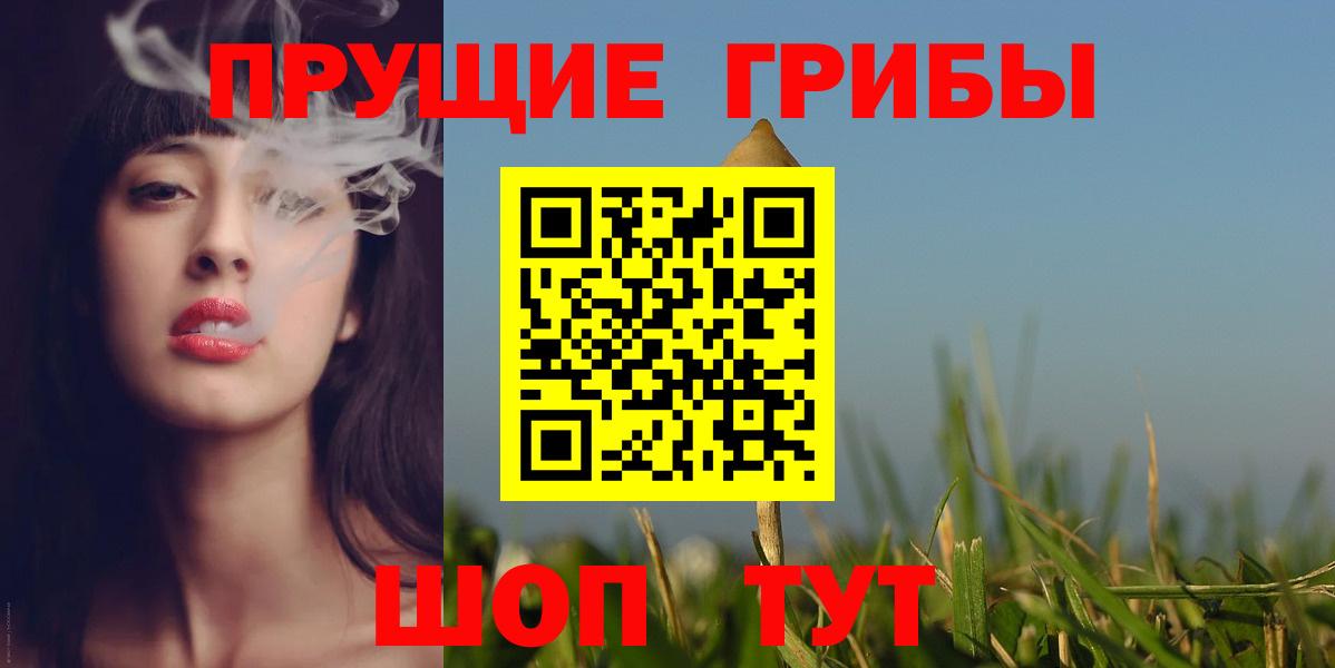 Нерюнгри  сколько стоит  Вход с VPN  Галлюциногенные грибы Psilocybine cubensis 